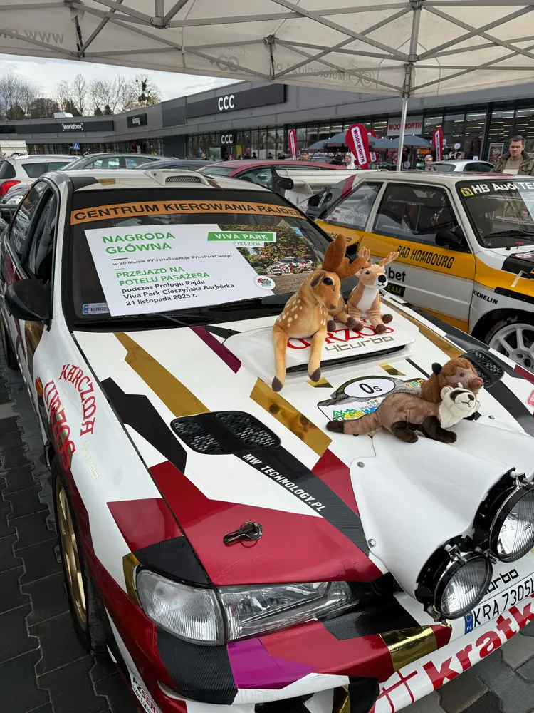 Rally car with mascots on the bonnet